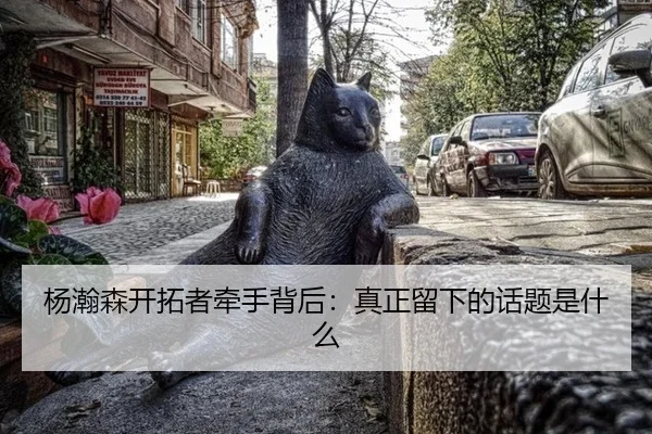 杨瀚森开拓者牵手背后：真正留下的话题是什么